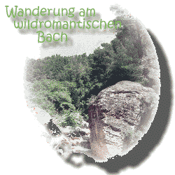 Wanderung am Bachlauf