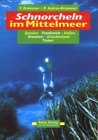 Hier können Sie das Buch bei Amazon bestellen